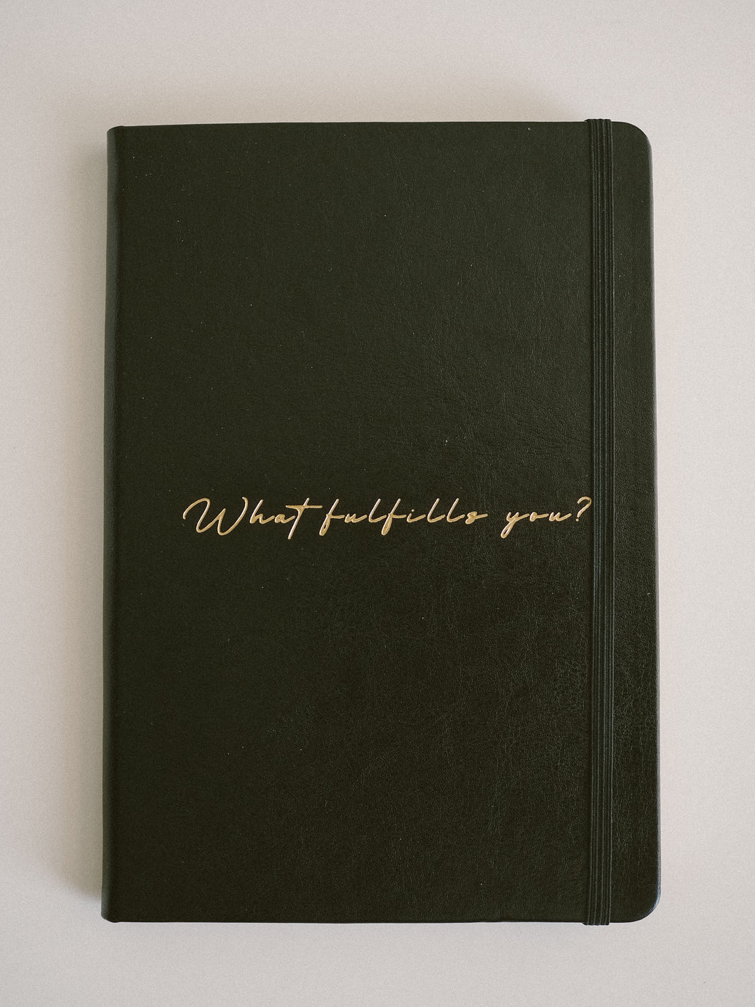 What Fulfills You? Daily Gratitude Journal